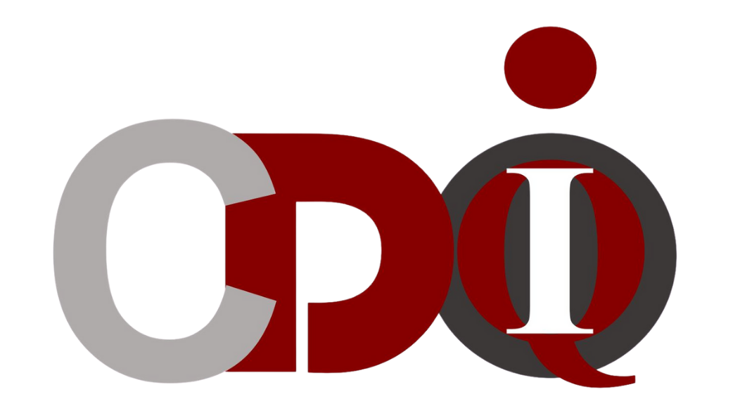2026 CDOIQ-China
